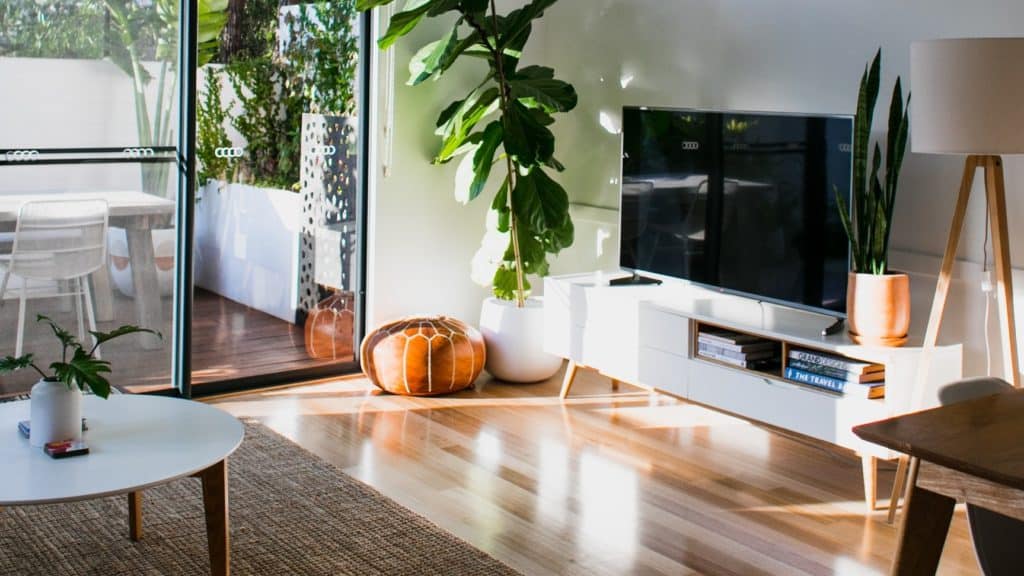 Een tv op een tv-meubel tegen een muur naast een plant