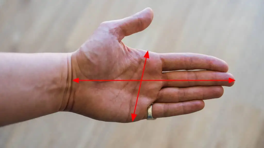 De lengtematen van je hand die je moet meten om de ideale maat muis te vinden.