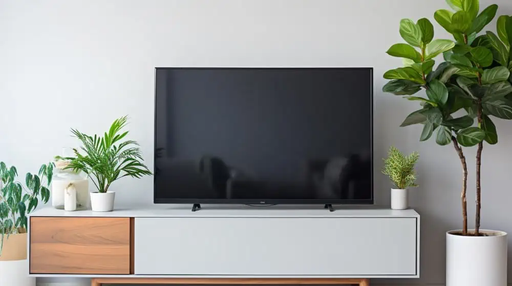 Tv staat uit op een modern houten tv-meubel met vijgenboom en andere planten ernaast